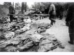 Ekshumacja zwłok polskich oficerów zamordowanych przez NKWD w Katyniu (obw. Smoleński, ZSRR) w 1940 roku.