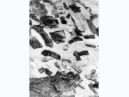 Przedmioty należące do polskich oficerów, znalezione podczas ekshumacji zwłok w Miednoje (obw. Twerski, Rosja).